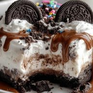 Oreo Ice Cream Cake Delight