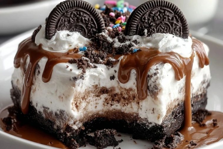 Oreo Ice Cream Cake Delight